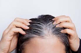 ⋙ 5 idées reçues sur les cheveux blancs Les Cheveux Blancs Peuvent Ils Retrouver Leur Couleur D Origine