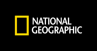 Lion vs buffalo national geographic lion documentary nat geo wild animal documentary#animals #lion #wildlifeplease subscribe & share. National Geographic