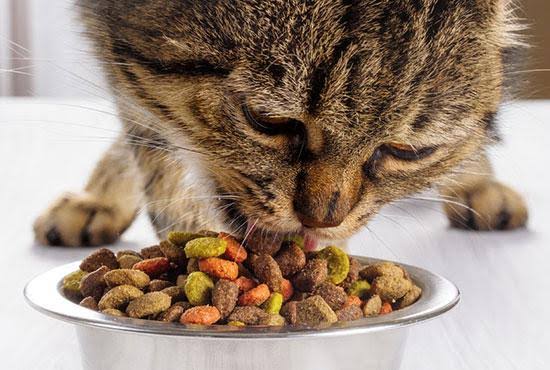 Makanan kering (dry food). (feline-nutrition.org)