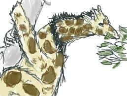 Check out the winners below! Forum Draw A Combined Animal Deviantart