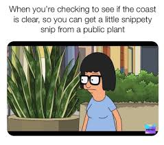 Plant Humor Houseplants Bobsburger Funny Meme Plant Jokes Gardening Quotes Funny Plant Lady