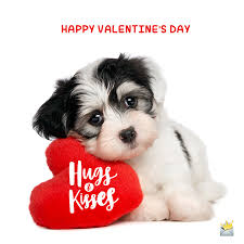 Every one of us loves to have fun. Valentine S Day Card Messages Gorgeous Partners