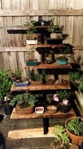 New Bonsai Stand Japanischer Garten Bonsai Garten