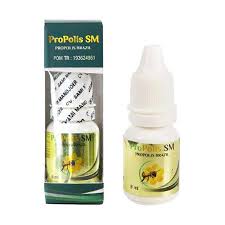 Vitamin c dapat membantu menjaga. Jual Obat Panas Dalam Gusi Bengkak Walatra Propolis Sm 6 Ml Murah Mei 2021 Blibli
