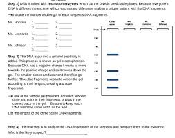 Student exploration dna analysis gizmo answer key bar exam dates 2021 texas / costo de examen de fertilidad femenina / chapter 9 motivation and emotion answers / past law exam papers and answers uol / accounting intern interview questions and answers / examenes de estudios sociales de octavo año. Solved This Question Was Created From Dna Fingerprinting Analysis Worksheets 2011 Edited Jl Docx Course Hero