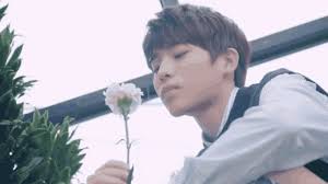 Kim Sung Yeon Flower GIF