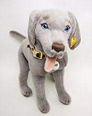 Pin On Weimaraner