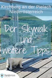 urlaub mit hund im pielachtal niederosterreich wandern hundereise urlaub mit hund urlaub reisen