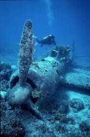 Pilot skeleton found in missing plane underwater