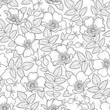 We did not find results for: Seamless Pattern With Outline Flower Hips And Leaves On The Royalty Free Cliparts Vectors And Stock Illustration Image 79385604