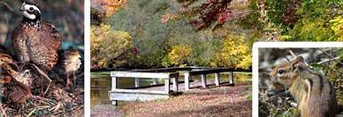 Nestled in the heart of smithtown, caleb state park preserve is only one of two nature preserves on long island. Caleb Smith State Park Nys Dept Of Environmental Conservation