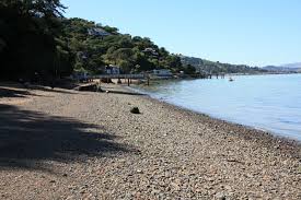 At paradise beach you will experience the best parties, restaurants, bars, activities and the #14 best club worldwide! Paradise Beach Park Tiburon Ca California Beaches
