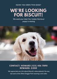 Common lost/found sites to share your found flyers and look for lost pets that have been posted: Free Printable Customizable Lost Dog Flyer Templates Canva