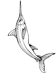 Swordfish Google Search Fish Coloring Page Coloring Pages Animal Templates