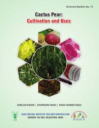 Adding cubes of cactus fruit to this fruity drink only makes sense! Pdf Cactus Pear Cultivation And Uses
