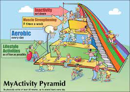 Where on the physical activity pyramid do lifestyle activities belong? Myactivity Pyramid For Kids Mu Extension