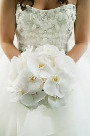 Maybe you would like to learn more about one of these? All White Wedding Bouquet Wedding Bouquets Orchid Bouquet Orchid Wedding