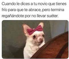 Pin En Memes