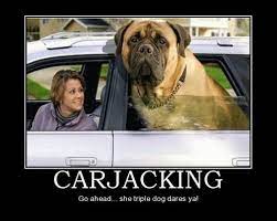 Find and save carjacking memes | from instagram, facebook, tumblr, twitter & more. One Big Deterrent Very Demotivational Demotivational Posters Very Demotivational Funny Pictures Funny Posters Funny Meme
