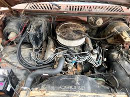 Image result for Fawn 1981 Bronco