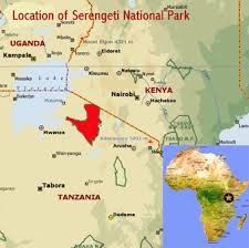 Mount kenya is the highest mountain in the country and is located several hundred kilometers north of nairobi. Serengeti National Park Tanzania African World Heritage Sites