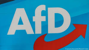 Afd What You Need To Know About Germany S Far Right Party Germany News And In Depth Reporting From Berlin And Beyond Dw 28 10 2019