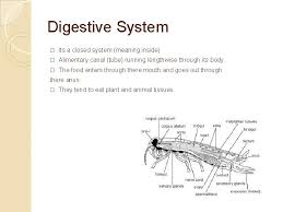 The book is divided into six parts, targeting the pests of pasture, field crops and vegetables, fruit, forestry, weeds and nuisance pests. I Insect Isopoda Reason For The Name The