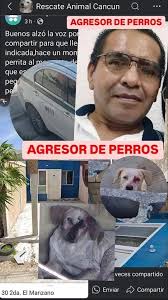 Erendira Chavez (@perrefante)