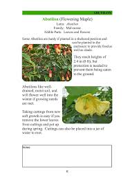 Edible Plant Collection The Tortoise Table Edible Plants Plant Collection Plants