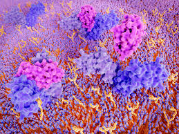 Covid 19 Patients Improve After Immune Suppressant Treatment