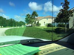 Our lawn pest control is both reactive and proactive, giving you the best of both worlds. Southern Care Lawns Home Facebook