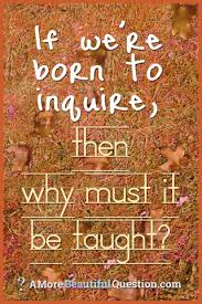 Hi experts, what is the purpose of inquiry? Quotes About Questioning A More Beautiful Question By Warren Berger