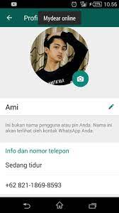 Buat apasih nyari nomor whatsapp, kalo ada instagram. No Wa Asli Alwi Assegaf Cara Golden
