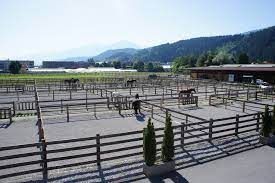 reitstall reithalle nahe innsbruck vols in kematen in tirol reitstall michelfeld arena reithalle rinder stall reiten