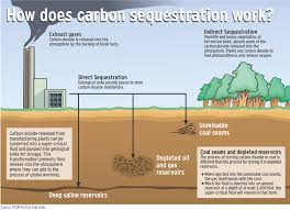 scientists discuss pumping carbon