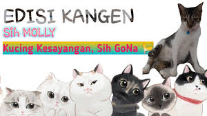 Susu cair 1 sendok teh. Molly Sih Kucing Kesayangan Gona Youtube