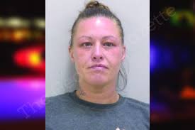 Michelle Handel — Bartow County Jail Bookings