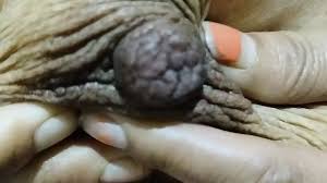 Free Funny Xxx Porn Videos | xHamster