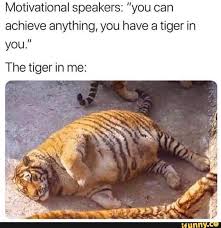 Motivational Speakers You Can Achieve Anything You Have A Tiger In You The Tiger In Me Ifunny Funny Friday Memes Funny Animal Memes Funny Relatable Memes