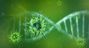Par le docteur philippe gorny. Actualite Une Epidemie Tous Les 100 Ans 1320 1520 1620 1720 1820 1920 2020 Amndvden Overblog Com