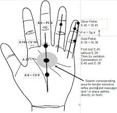 korean hand therapy micro meridians by dan lobash