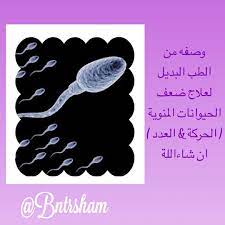وصفه من الطب البديل لعلاج ضعف الحيوانات المنوية الحركة العدد ان شاءاللة الخلطة novelty ice tray