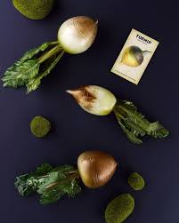 Les Racines De Verre D Amanda Dziedzic Design Alimentaire Legumier Verre