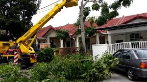 Contoh surat aduan tebang pokok have an image from the other.contoh surat aduan borang permohonan tebang pokok unit flying squad maklumat pemohon nama : Surat Rasmi Permohonan Tebang Pokok Kuora F Cute766