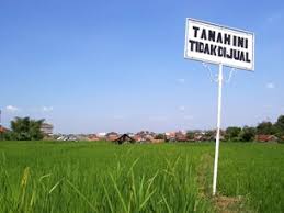 2 surat perjanjian sewa tanah saya yang bertanda tangan di bawah ini: Peralihan Hak Milik Atas Tanah Karena Pewarisan Nin Yasmine Lisasih S H M H