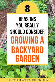 8 Reasons You Should Grow A Garden Gardening For Beginners Cherry Tomato Plant Garden Help