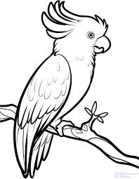 Dibujos De Loros Para Colorear
