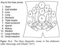 Pin By Lovelife On Continued Education Acupressure Shiatsu Massage Shiatsu