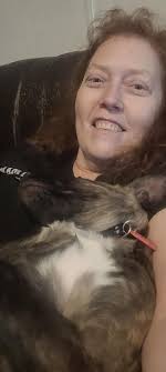 Our wee man Harley 14 years young