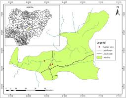 Image result for Pneumatopteris afra
